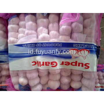 Bawang putih putih normal dijual